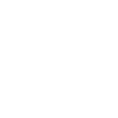 logo of show Disney and Pixar by the Super Carlin Brothers