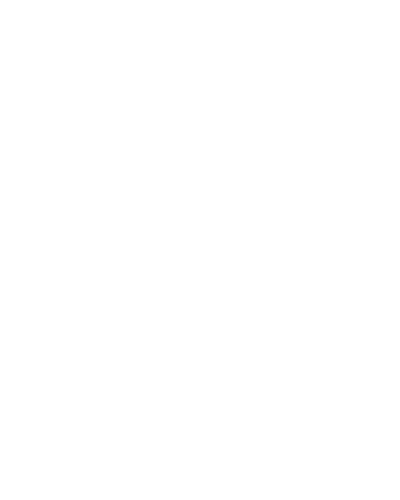 logo of show F**KFACE Regulation Animation